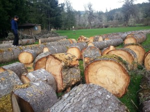 20160322_145520_resized