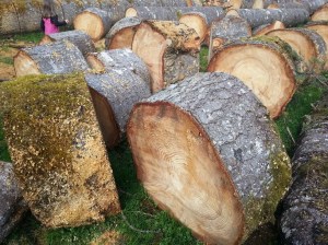 20160322_145529_resized