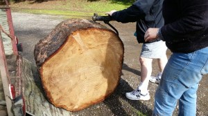 20160322_152327_resized