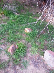 20160403_175059_resized