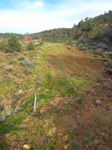 20160403_175140_resized