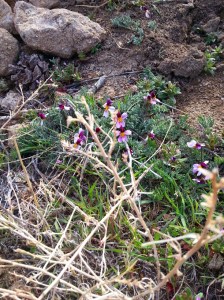 20160403_175248_resized