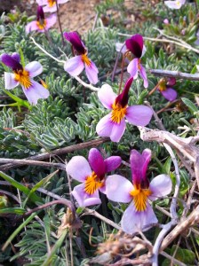 20160403_175305_resized