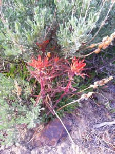 20160403_175400_resized