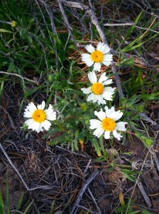 20160403_175411_resized