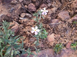 20160403_175502_resized