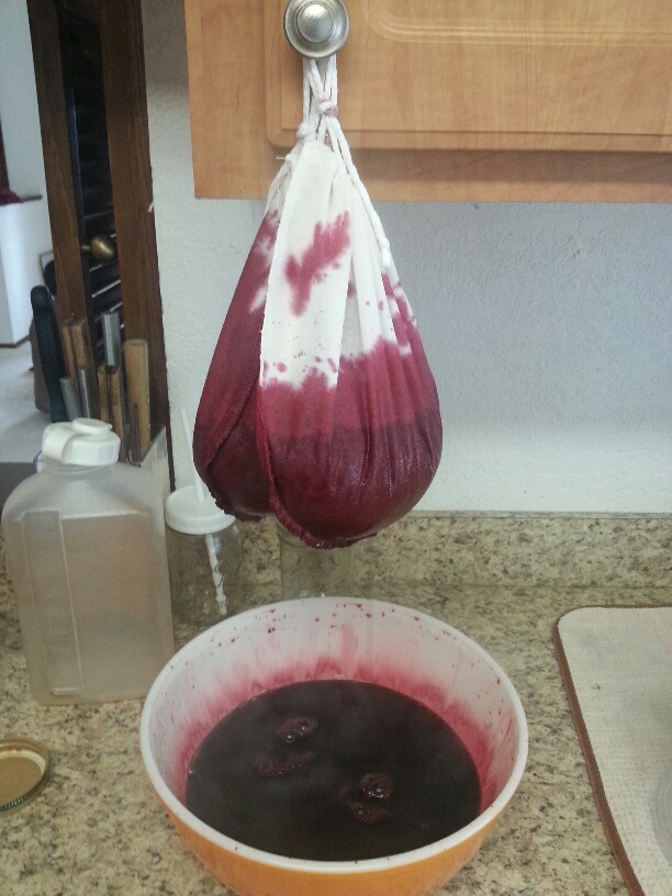 20160423_133708_resized_1.jpg image