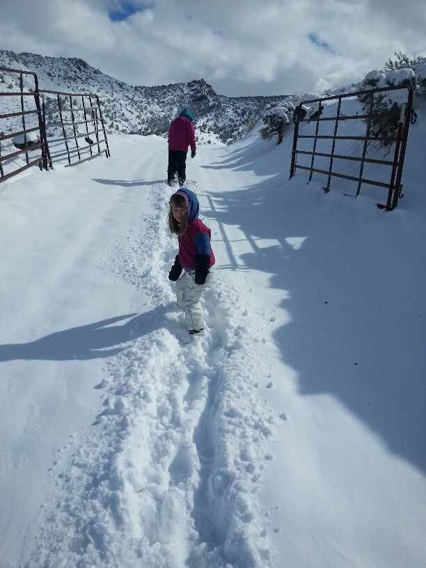 20160329_100932_resized