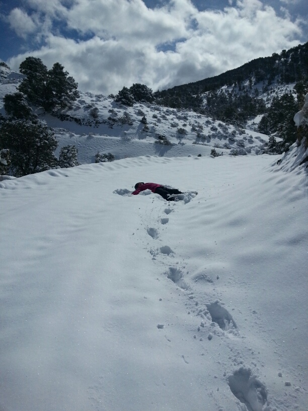 20160329_101746_resized