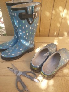 20160502_095602_resized