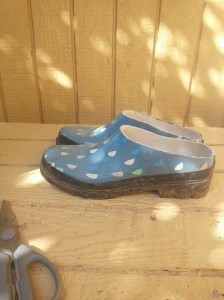 20160502_095639_resized