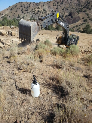 wp-1471106550155 image