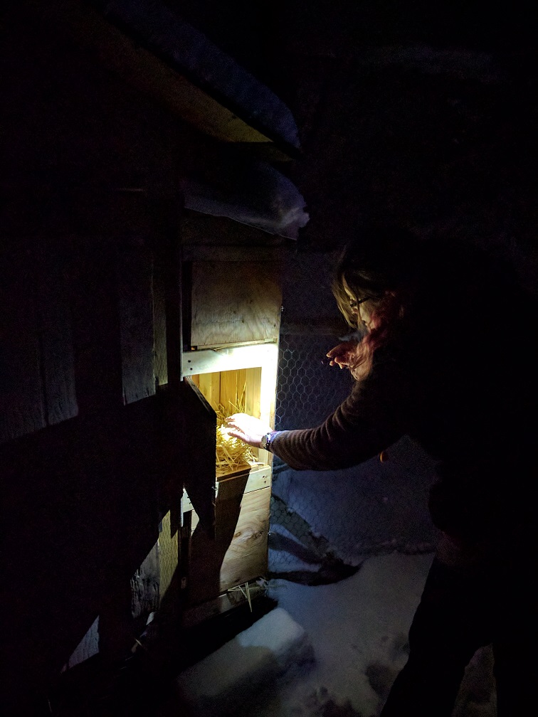 late-night-egg-check-barely-see-the-flashlight-in-right-hand